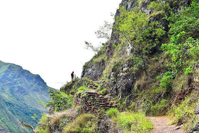 07 Day: Inca Jungle Adventure with Mountain Bike, Rafting, Zipline & Trek - The Aobamba Valley and arrival in Aguas Calientes