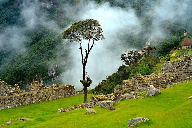 07 Day: Inca Jungle Adventure with Mountain Bike, Rafting, Zipline & Trek - Machu Picchu with a guided morning visit