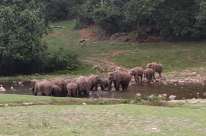 1 Day Activity Adventure Trekking Kerala - Perumbankuth Waterfalls and the return route