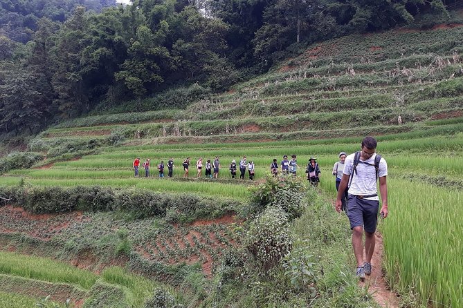 1-day Authentik trek & Panorama valley views - Lunch and the practical value of $56.42
