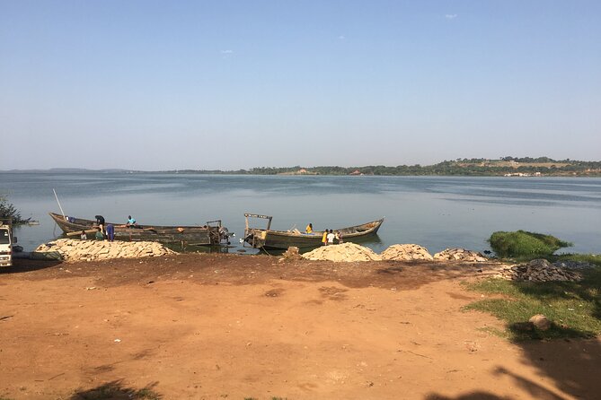 1 Day chimpanzee trekking at Ngamba Island - Leaving Kampala at 7:30 a.m.