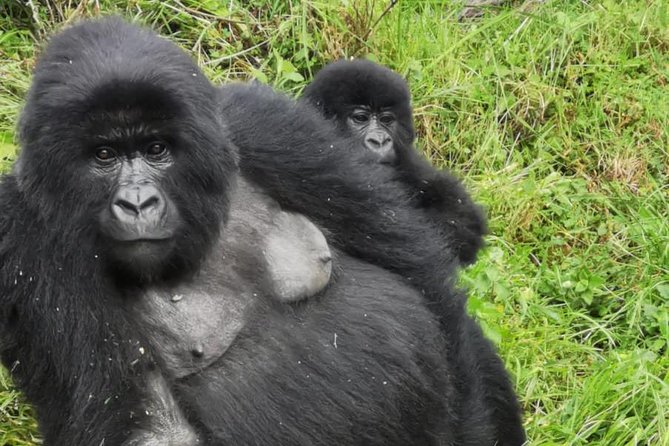 1 Day Gorilla Trekking Mgahinga Gorilla NP & Lake Bunyonyi - Leaving Lake Bunyonyi before sunrise