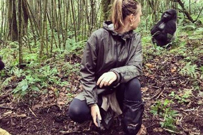 1 Day Gorilla Trekking Rwanda - Why this one-day Rwanda trek works
