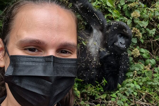 1 Day Gorilla Trekking Safari in Rwanda Volcanoes National Park - Why this Kigali gorilla day trip costs $2,675