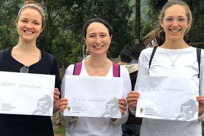 1 Day Gorilla Trekking Uganda - Mgahinga or Bwindi: two different forest settings