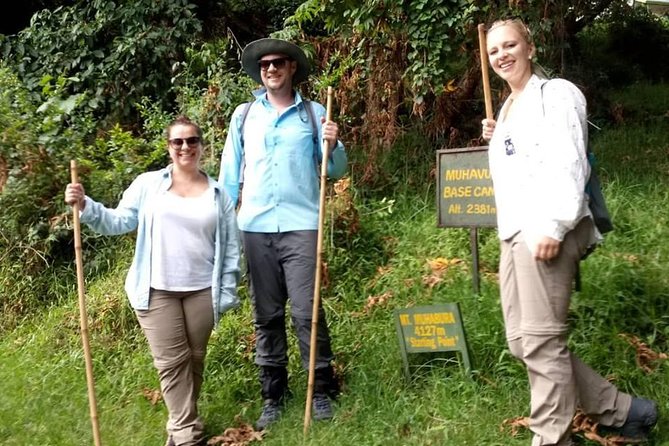 1 Day Gorilla Trekking Uganda - Registration, briefing, and the walk into the forest