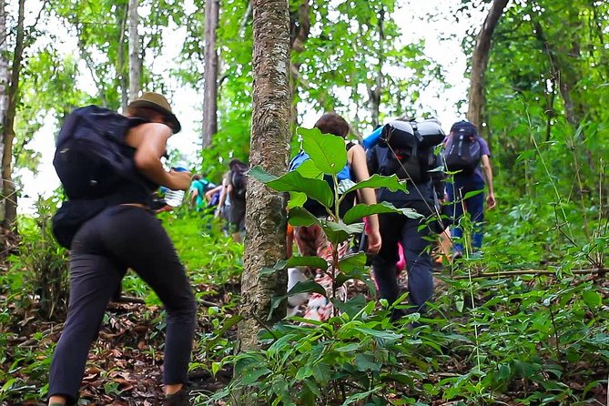 1 day private eco-trekking at Mae Sa Pok - Key points before you book
