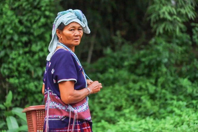 1 day private eco-trekking at Mae Sa Pok - Why Mae Sa Pok makes a worthwhile day trip