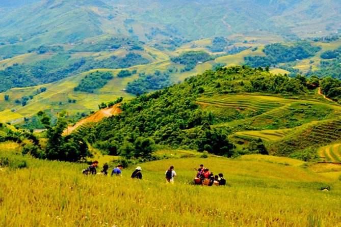 1 day Private tour Sapa trekking Y Linh Ho - Lao Chai - Ta Van (start from Sapa) - Key points at a glance