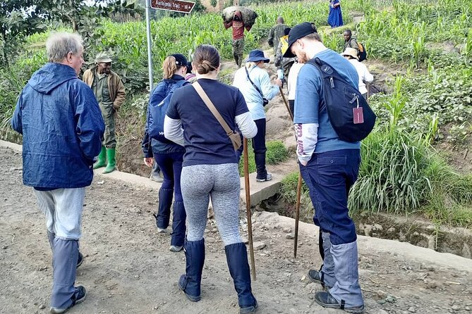 1 Day Rwanda Gorilla Trekking Tour - Key points before you book