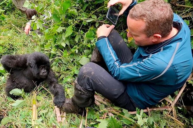 1 Day Rwanda Gorilla Trekking Tour In The Volcanoes National Park - The 4:30 am departure from Kigali