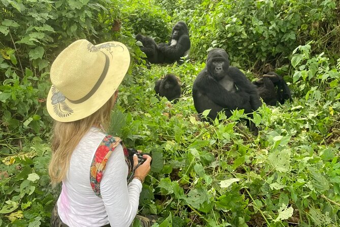 1 Day Rwanda Gorilla Trekking Tour In The Volcanoes National Park - The possible Ibyiwacu Culture Village visit