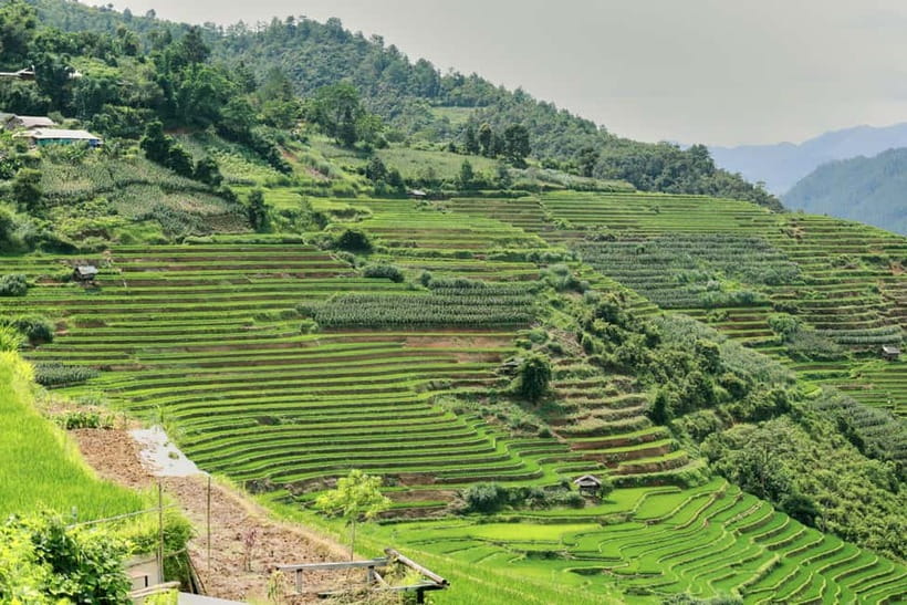 1-Day Sapa Long Trek - Rice Field Terrace, Ethnic Culture - Should you book the Sapa long trek?