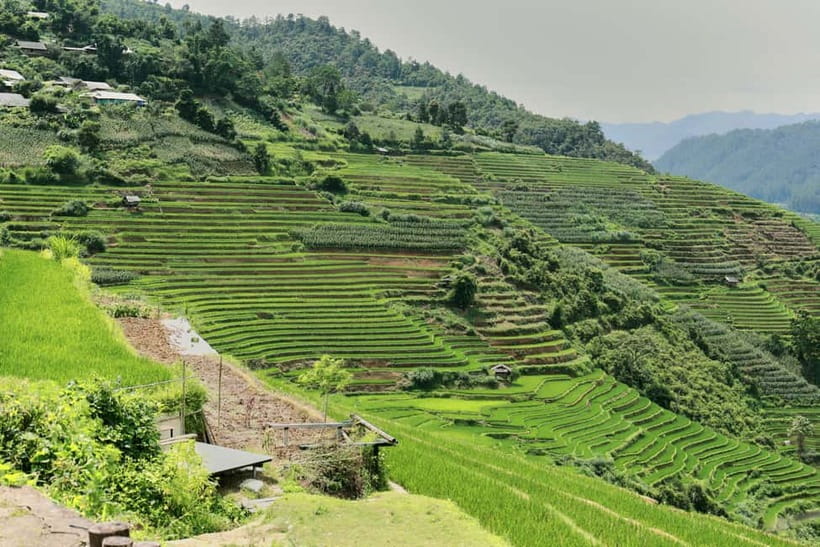 1-Day Sapa Long Trek - Rice Field Terrace, Ethnic Culture - Why the local guides receive so much praise