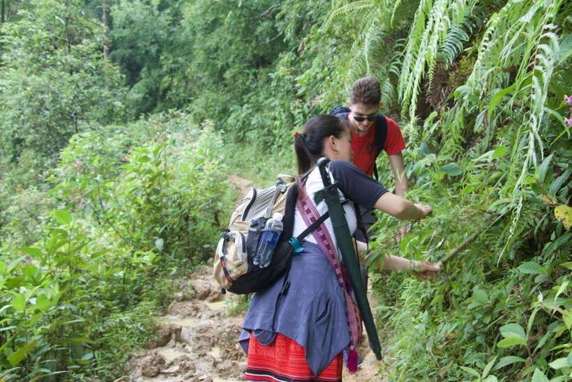 1 Day Sapa Trek&Home-cooked Lunch HmongSisterHouse&Trekking - Hau Thao brings the day down to village level