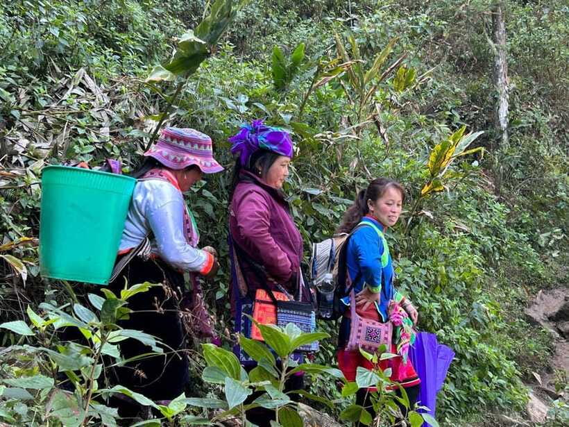 1 Day Sapa Trek&Home-cooked Lunch HmongSisterHouse&Trekking - What the guide adds to the walk
