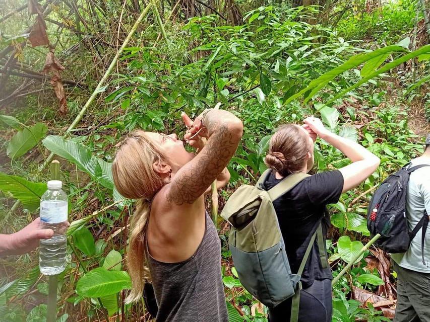 1 Day trekking : Chiang Rai popular activity,Fun in Nature. - Fitness, clothing, and practical limits