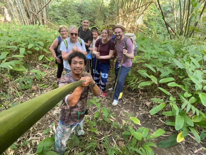1 Day trekking : Chiang Rai popular activity,Fun in Nature. - Walking through the Chinese village and tea plantation