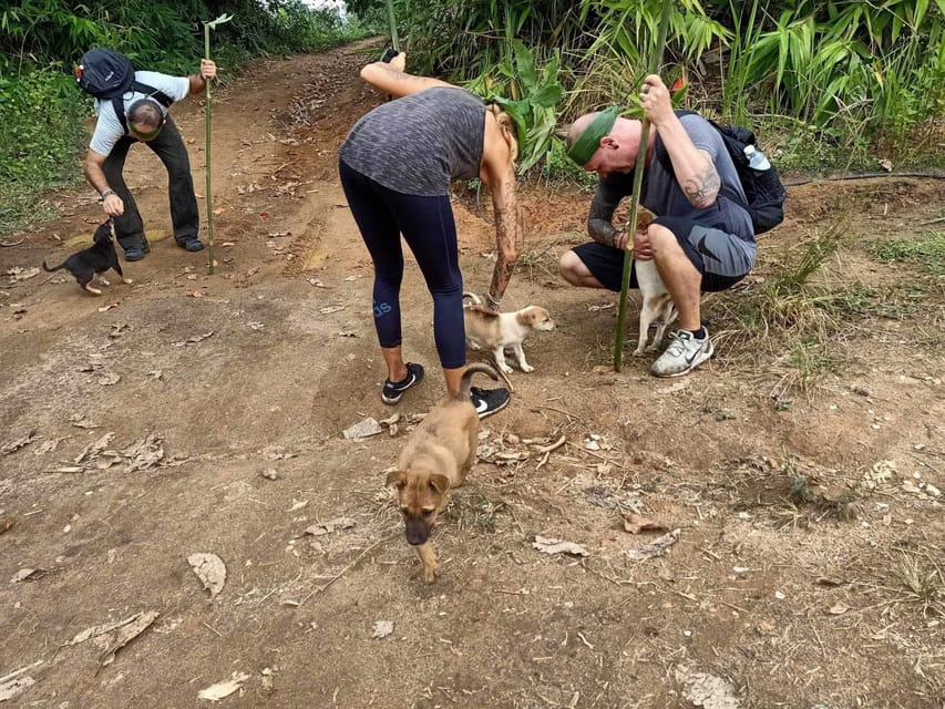 1 Day trekking : Chiang Rai popular activity,Fun in Nature. - Huay Kaew waterfall and the chance to swim