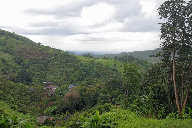 1 Day Trekking Group Tour With Bamboo Cooking / Chiang Rai - Lahu and Akha villages add human context