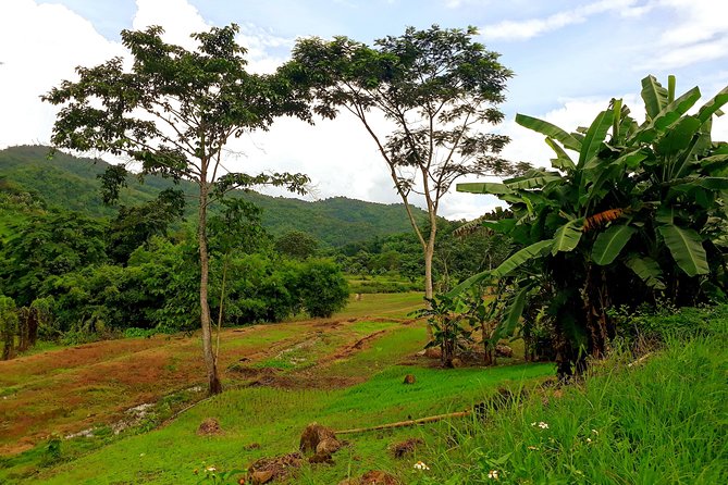 1 Day Trekking Group Tour With Bamboo Cooking / Chiang Rai - The guides shape the experience