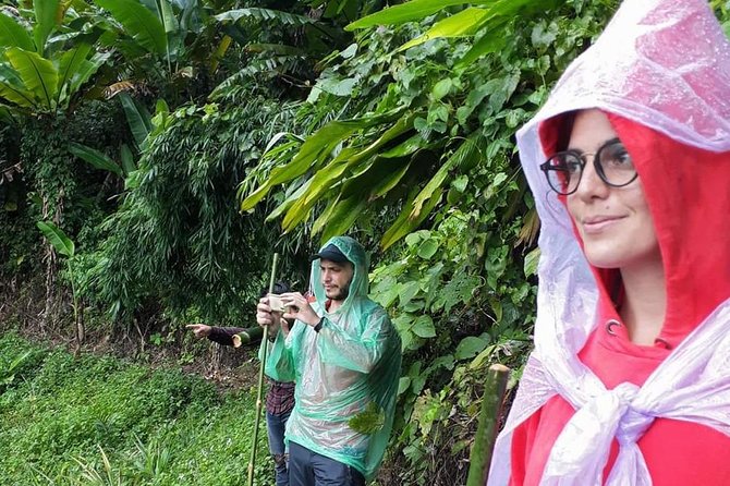 1 Day Trekking Group Tour With Bamboo Cooking / Chiang Rai - Is $58.66 good value?