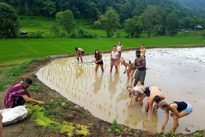 1 Day Trekking in Chiang Mai - Swimming at the waterfall