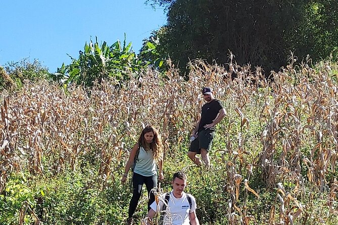 1 Day Trekking in Chiang Mai - What the guides add to the day