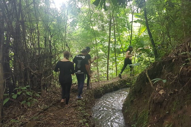 1 Day Trekking in Chiang Mai - Walking through a quieter mountain area