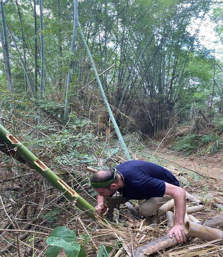 1 Day Trekking in Chiang Rai forest (walk only) - Who should book this trek?