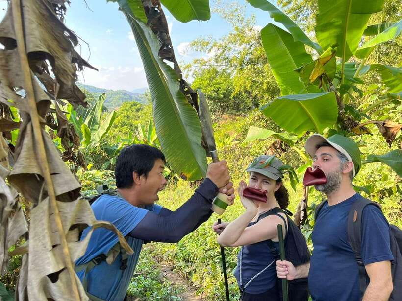 1 Day Trekking in Chiang Rai forest (walk only) - Leaving Chiang Rai for the forest