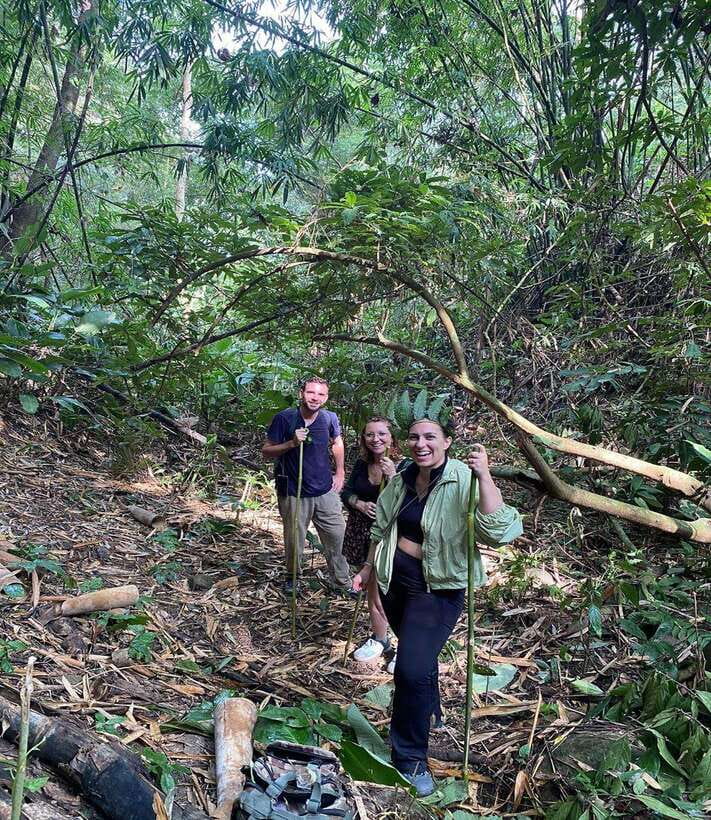 1 Day Trekking in Chiang Rai forest (walk only) - Tea plantations and the Chinese village