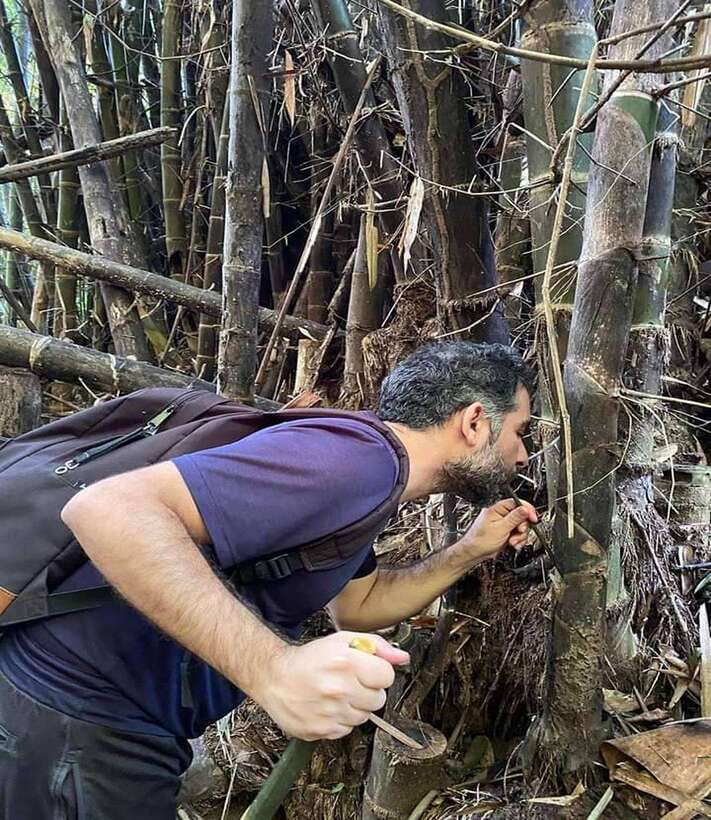 1 Day Trekking in Chiang Rai forest (walk only) - The hot springs: useful, but keep expectations modest