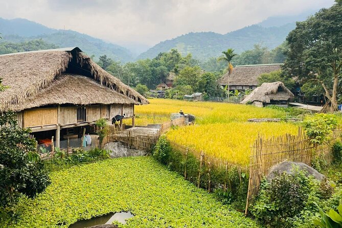 1 Day Trekking Tour in Ha Giang with Local Experts - Starting in Ha Thanh among Tay stilt houses