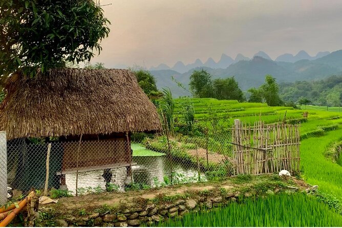 1 Day Trekking Tour in Ha Giang with Local Experts - Afternoon walking through Lung Vai and Khuoi My