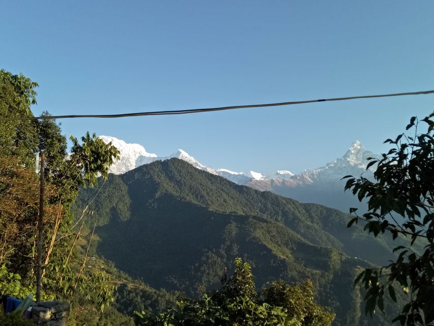 1 N 2 Days easy Dhampus,Australian camp trek from Pokhara - Descending to Dhampus Phedi and returning to Pokhara