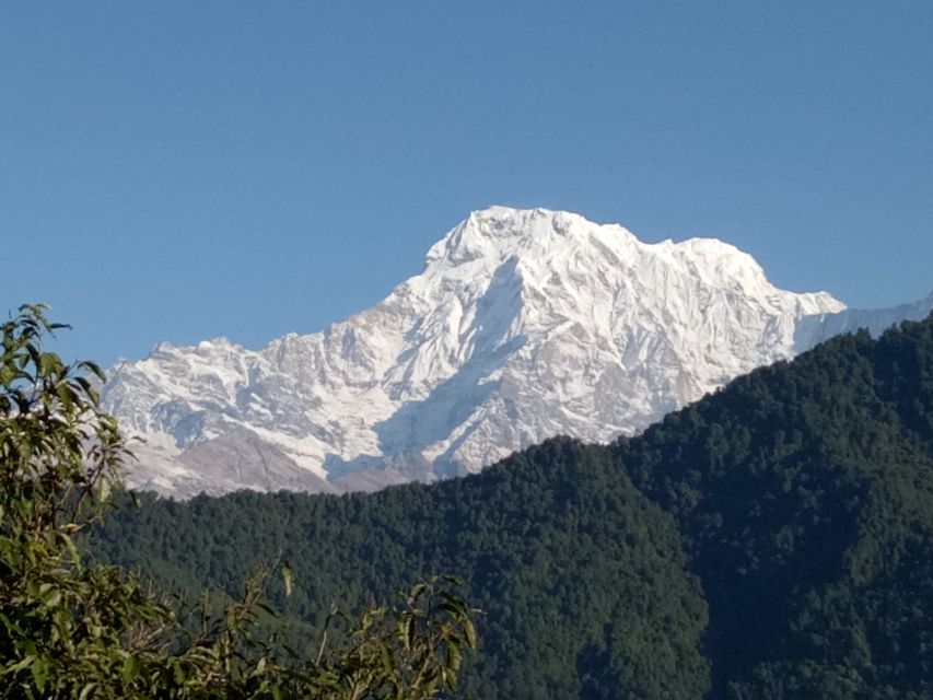1 N 2 Days easy Dhampus,Australian camp trek from Pokhara - How difficult is it really?