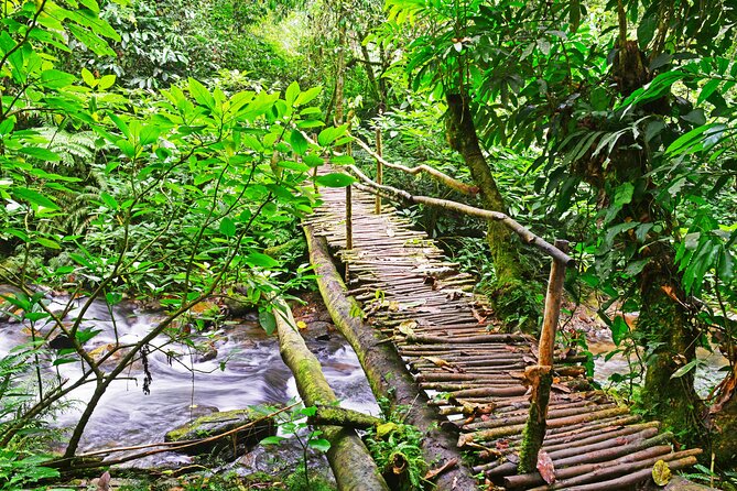 10 Days Affordable Gorilla Trekking Holiday - Day 5: Game Drive and Kazinga Channel