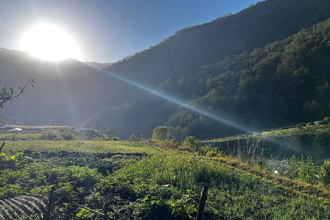 10 days Annapurna Base Camp Trek - Day 4: Forest, bridges, and the approach to Dovan