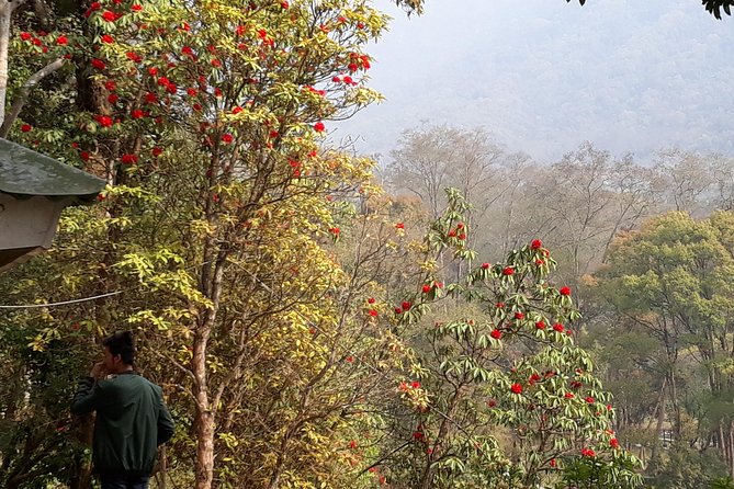 10 days Annapurna Base Camp Trek - Day 5: Waterfalls, caves, and Deurali