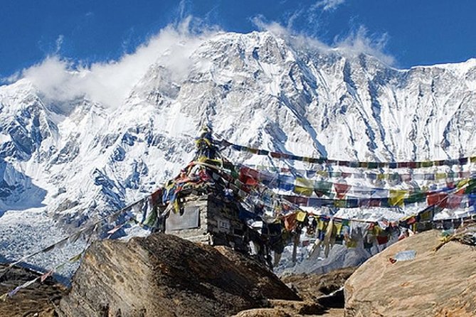 10 days Annapurna Base Camp Trek - Day 7: Down through rhododendron forest to Jhinu Danda