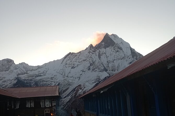 10 Days Annapurna Base Camp Trekking - Day 7: Bamboo to Jhinu Danda and the hot springs