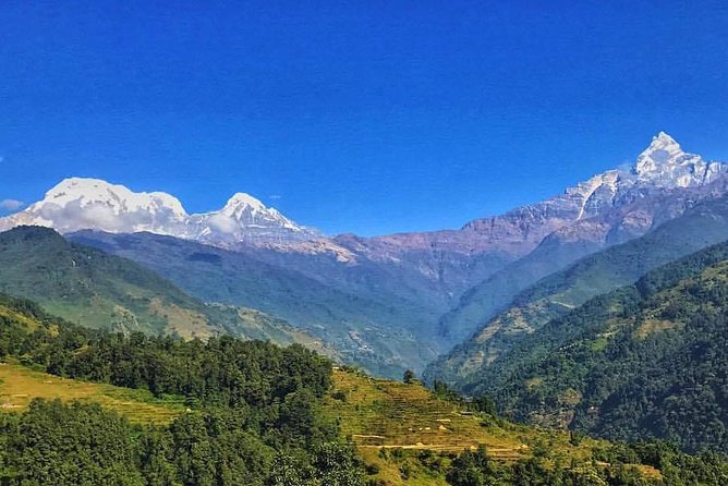 10 Days Kathmandu Chitawan Pokhara Tour with Dhampus Trek - Day 2: Kathmandu’s sacred and artistic landmarks