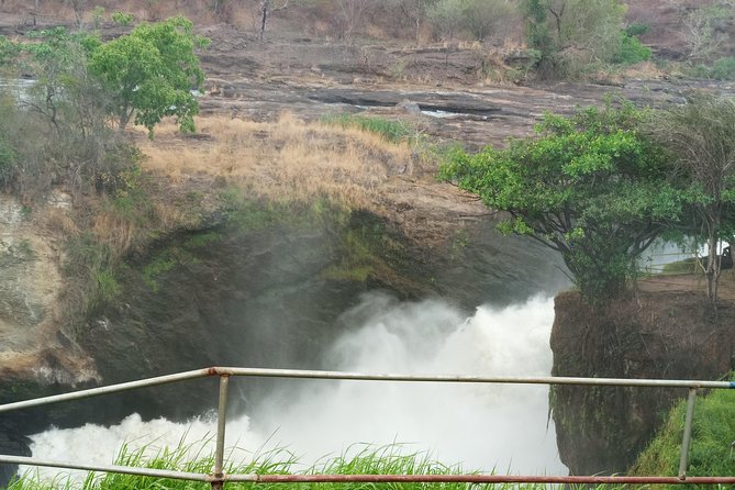 10 Days Uganda Gorilla & Chimpanzee Trekking Safari - Bigodi Wetland adds a gentler afternoon