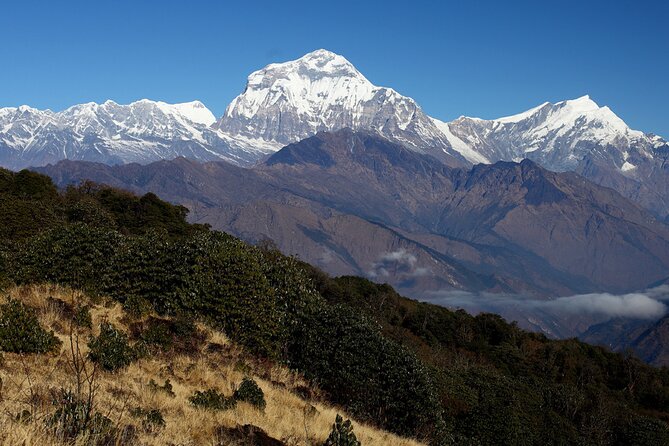 12-Day Nepal Adventure Trek with Jungle Safari - Poon Hill delivers the big Himalayan morning