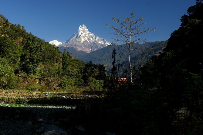 12-Day Nepal Adventure Trek with Jungle Safari - The Annapurna trek starts gently, then gets serious