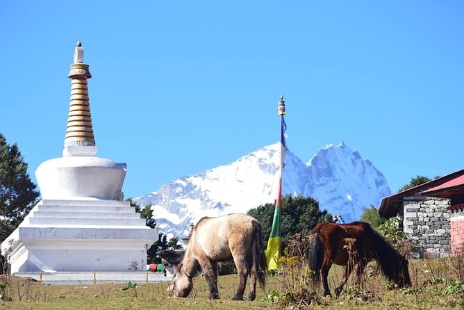 12 Day Private Mt. Everest View Luxury Trek - Days 4 and 5: Namche Bazaar and the altitude pause