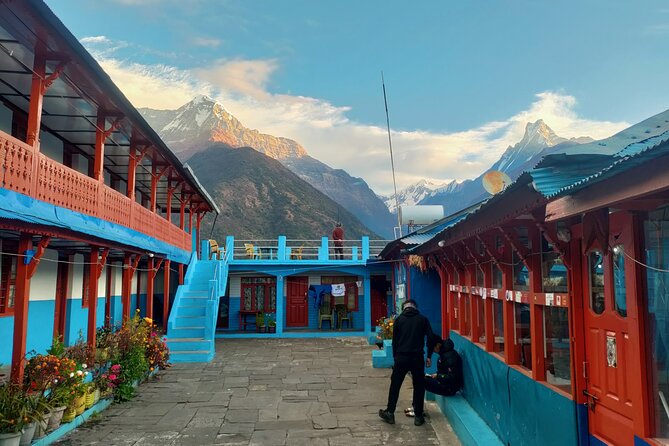 12 Days Annapurna Base Camp Trek - Day 4: Rhododendron forest and Ghorepani
