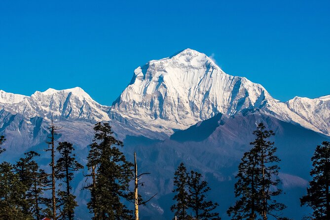 12 Days Trek Tour in Nepal - Day 5: Magar culture and the trail to Nangi