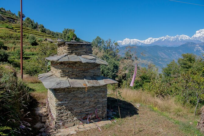 12 Days Trek Tour in Nepal - Day 7: Sunrise, Deurali, and the busier Gorepani route